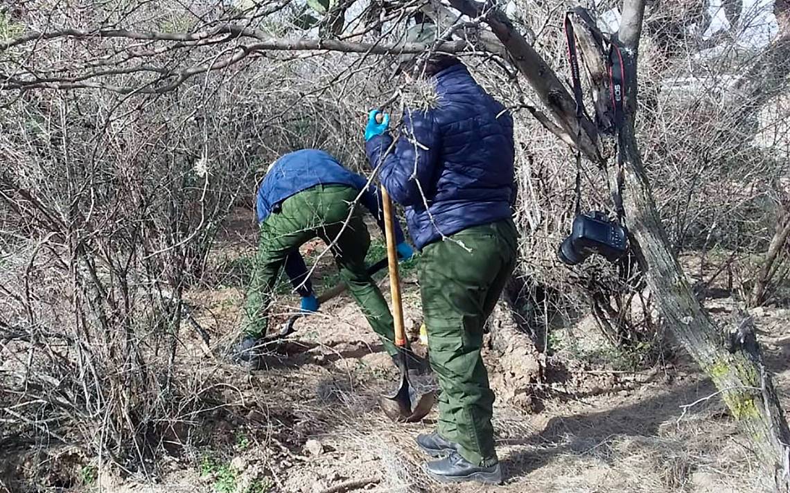 Encuentran Fosa Clandestina Con 10 Cuerpos En Zacatecas - El Sol Del ...